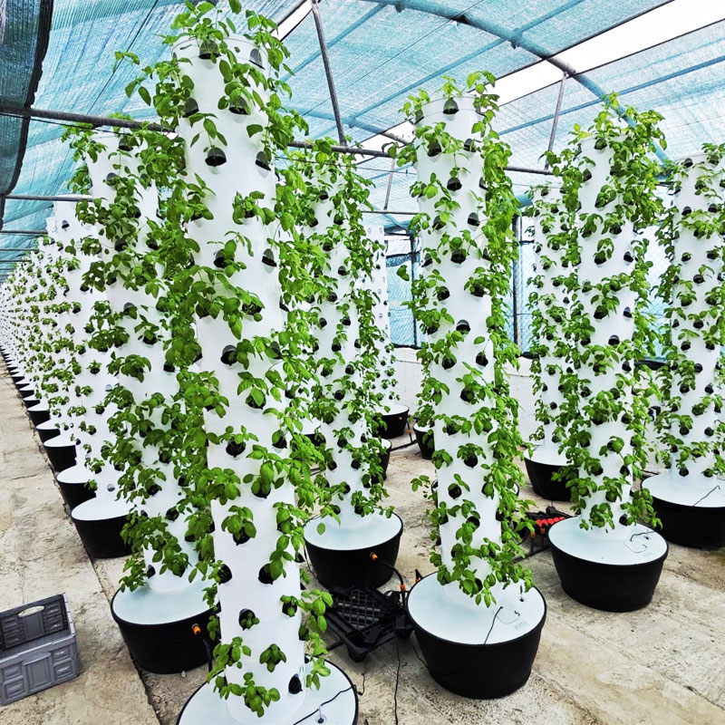 Hydroponic Tower - ระบบปลูกพืชไฮโดรโปนิกส์แนวตั้งขนาดเล็ก คุณภาพสูง ติดตั้งง่าย พร้อมระบบหมุนเวียนน้ำอัตโนมัติ สำหรับโรงเรือน -