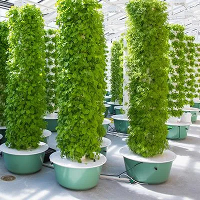 ระบบปลูกพืชแบบแอโรโปนิกส์แบบทา - Hydroponic Tower บทวิจารณ์และราคา