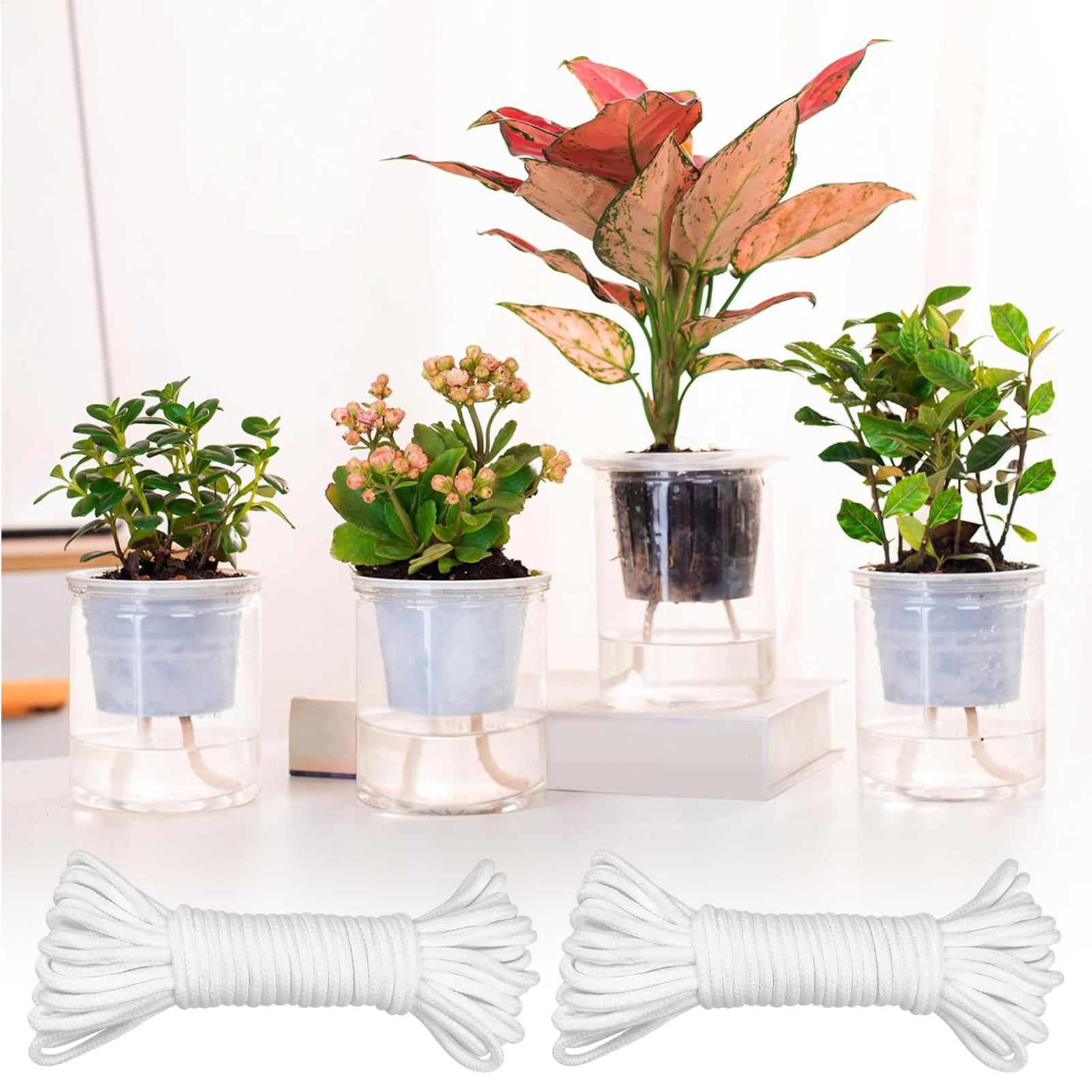เชือกให้น้ำต้นไม้แบบอัตโนมัติ  - Self Watering Planter บทวิจารณ์และราคา