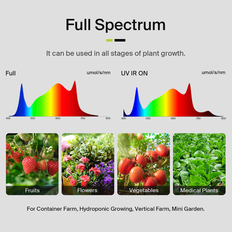 ให้ผลผลิตสูงสุดถึง 3.75 ปอนด์  - Grow Light Led บทวิจารณ์และราคา