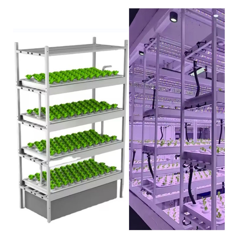 อุปกรณ์การเกษตรในโรงเรือนเพาะเ - Hydroponic Tower บทวิจารณ์และราคา