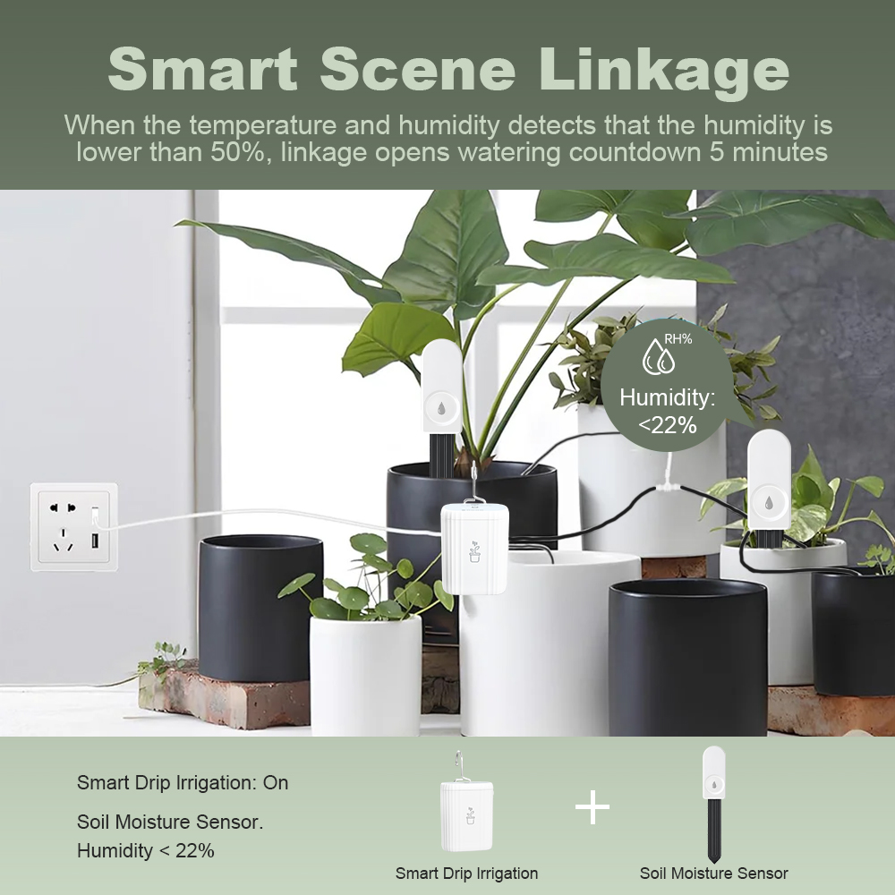 เครื่องวัดความชื้นในดิน ZigBee - Plant Monitor บทวิจารณ์และราคา