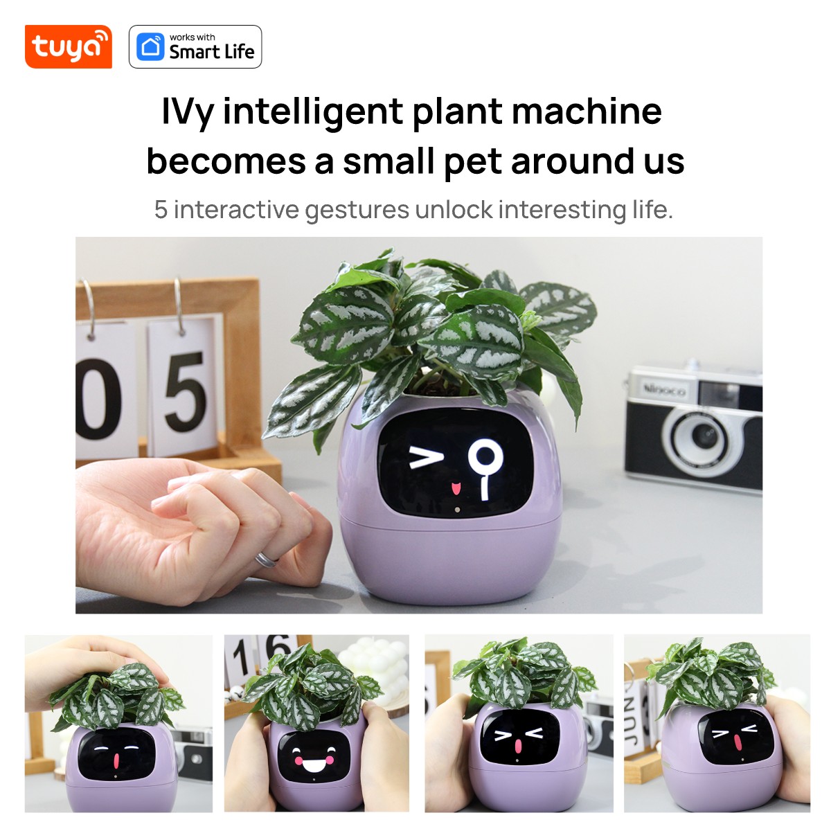 Pink Tuya Ivy Smart Planter สน - Smart Pot บทวิจารณ์และราคา