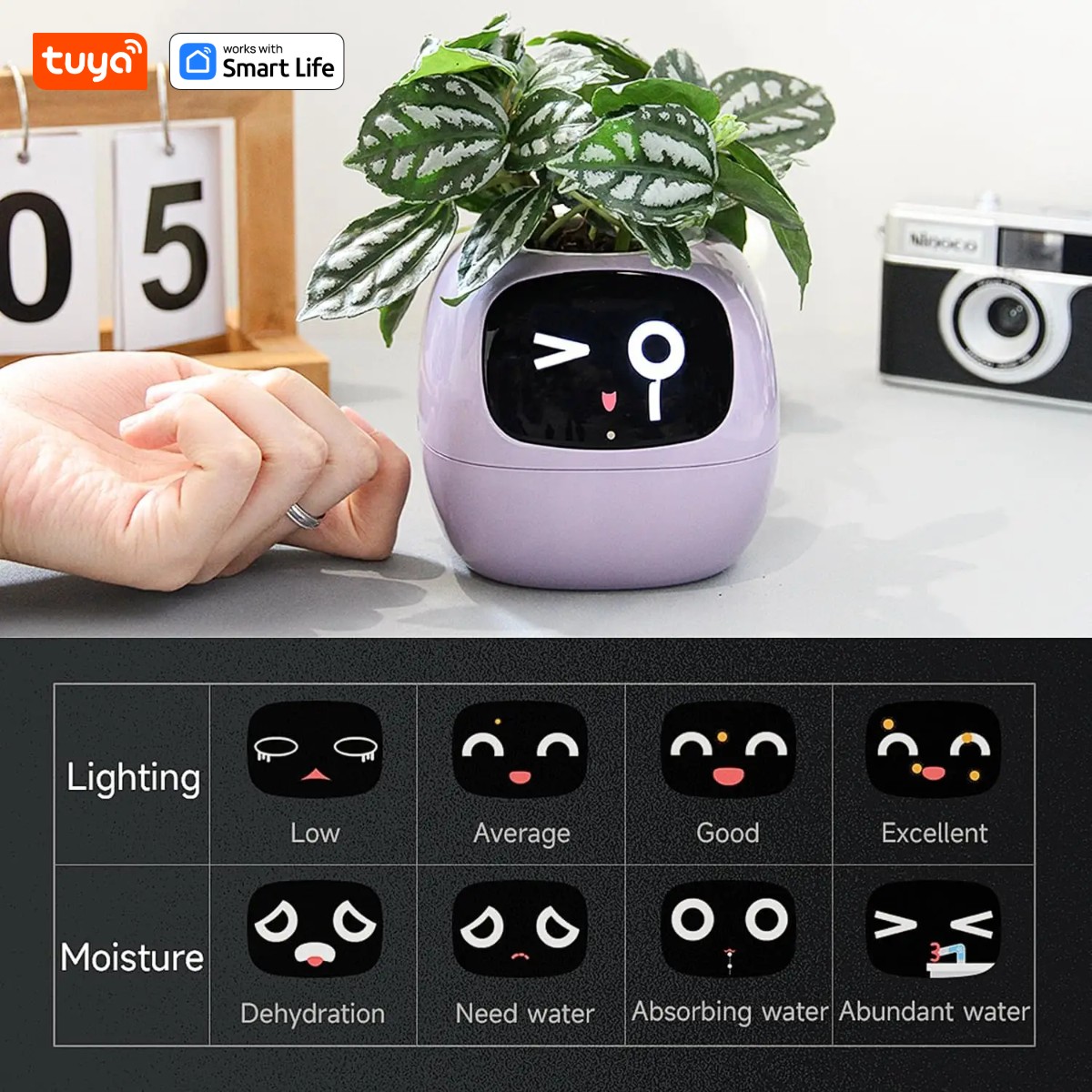Pink Tuya Ivy Smart Planter สน - Smart Pot บทวิจารณ์และราคา