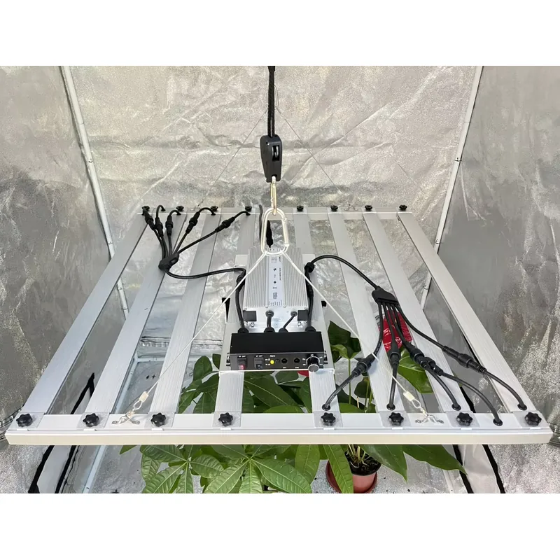ไดรเวอร์ไฟปลูกต้นไม้ 600W Inve - Grow Light Led บทวิจารณ์และราคา