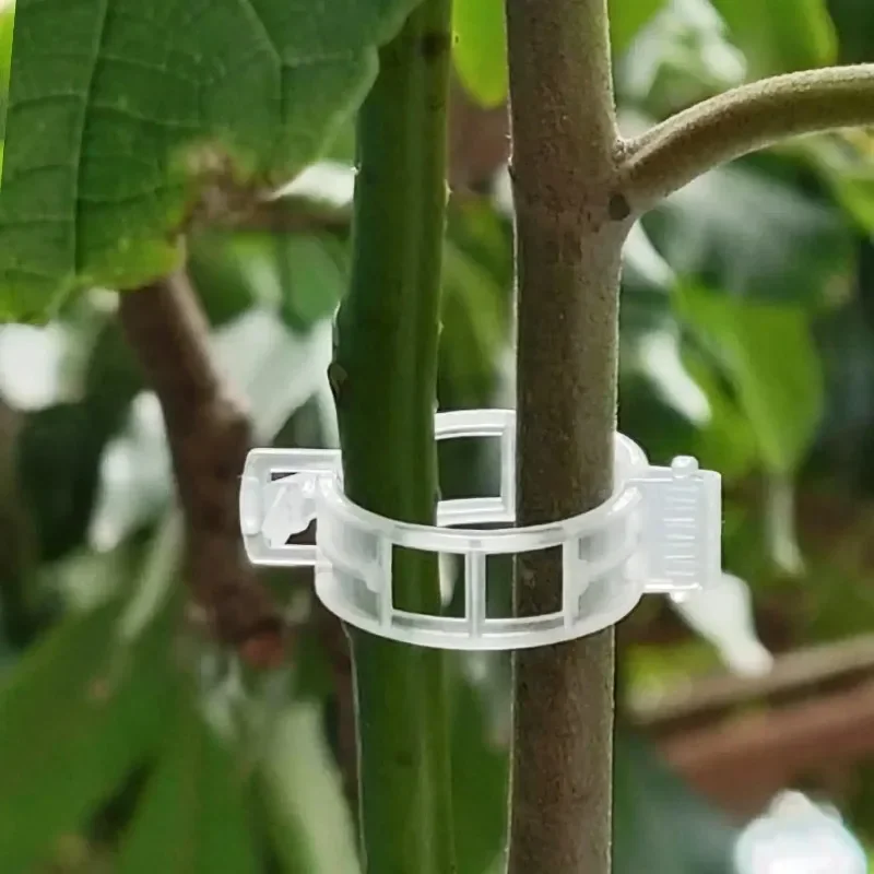 คลิปยึดต้นไม้แบบใช้ซ้ำได้ คลิป - Smart Garden Kit บทวิจารณ์และราคา