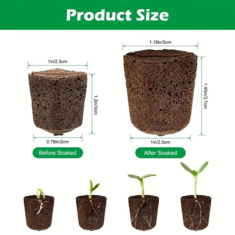 ชุดฟองน้ำเริ่มต้นการเพาะเมล็ดส - Indoor Garden Kit บทวิจารณ์และราคา