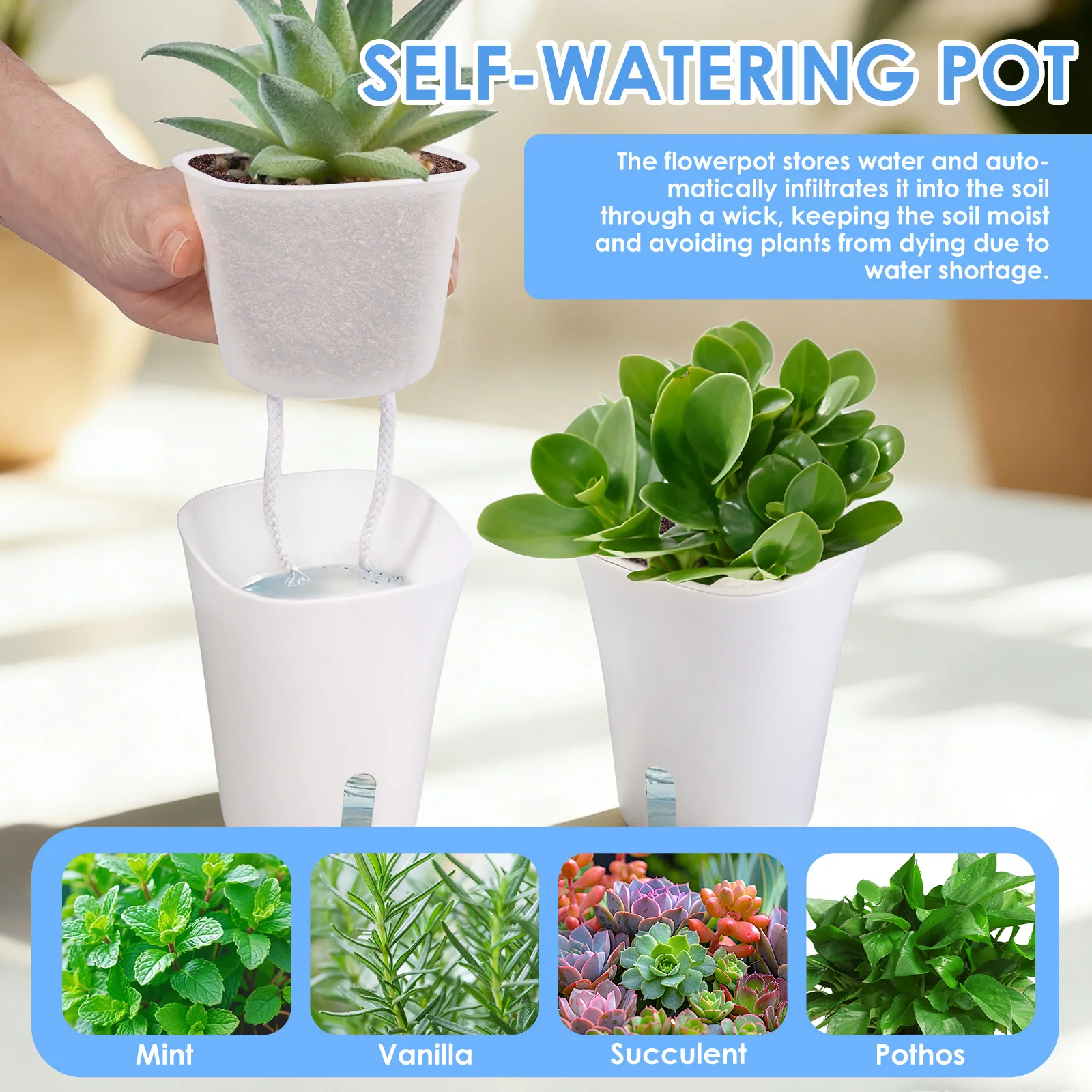 กระถางต้นไม้แบบรดน้ำเองได้ 10  - Hydroponic Grow Pod บทวิจารณ์และราคา