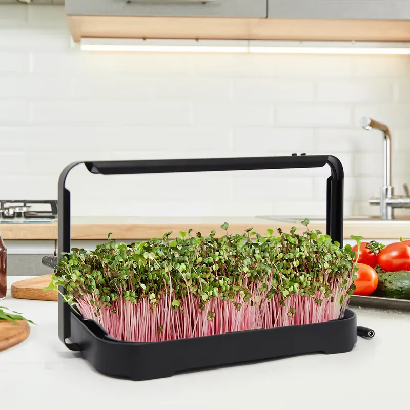 ถาดปลูกผักไฮโดรโพนิกสำหรับปลูก - Smart Garden Kit บทวิจารณ์และราคา