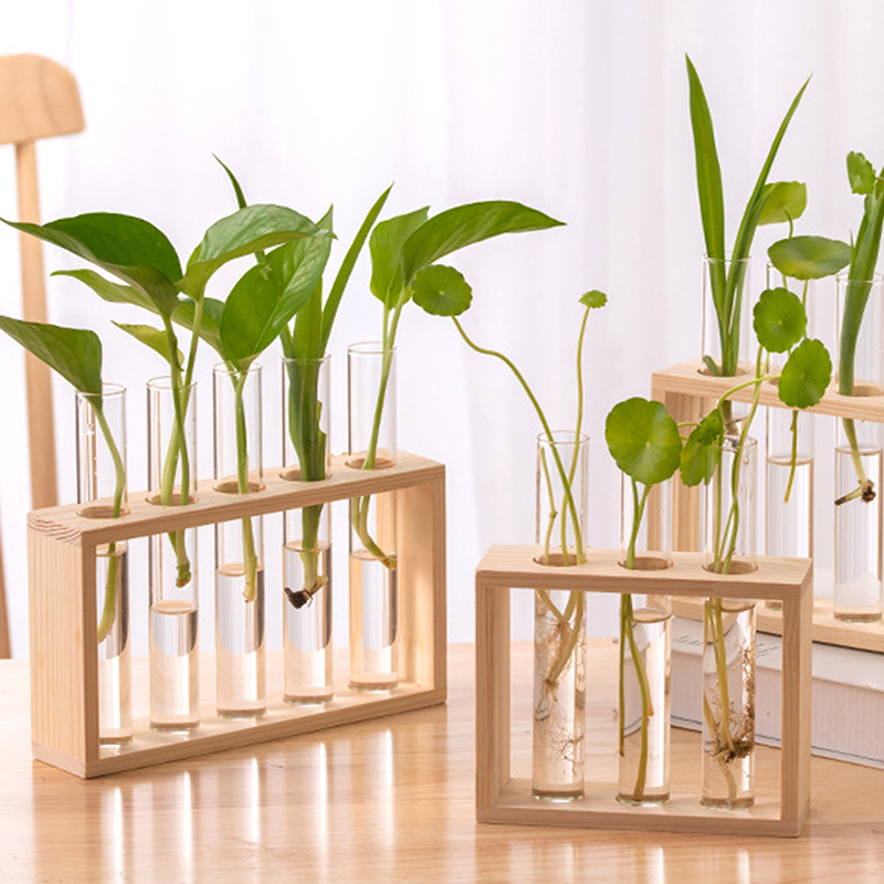 พืช Hydroponic คอนเทนเนอร์กรอบ - Hydroponic Grow Pod บทวิจารณ์และราคา