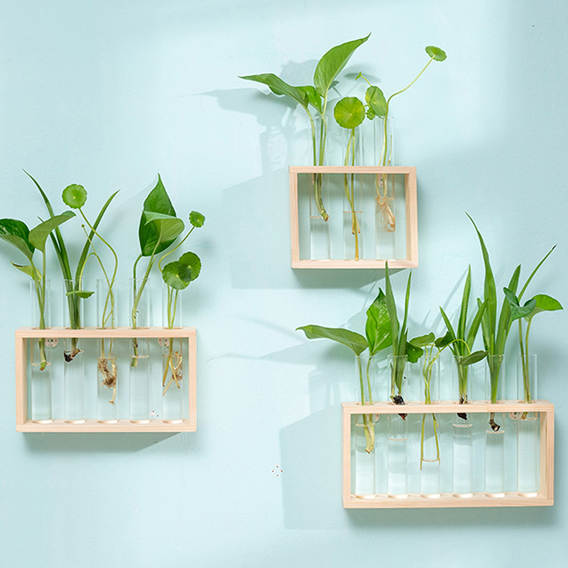 พืช Hydroponic คอนเทนเนอร์กรอบ - Hydroponic Grow Pod บทวิจารณ์และราคา