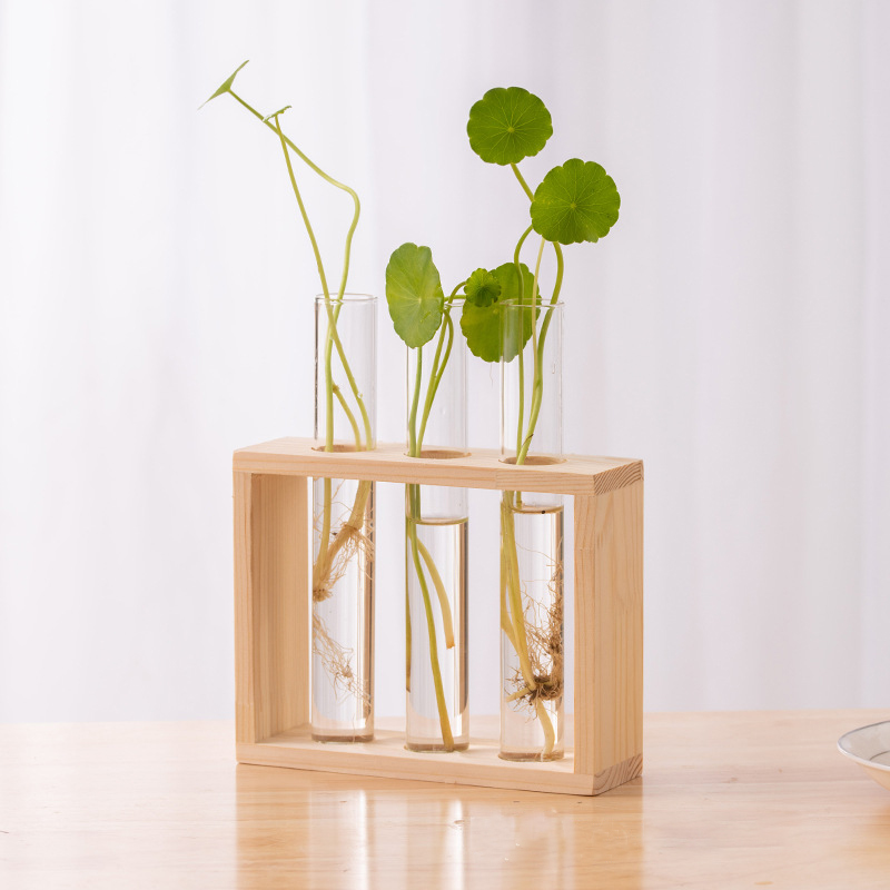 พืช Hydroponic คอนเทนเนอร์กรอบ - Hydroponic Grow Pod บทวิจารณ์และราคา
