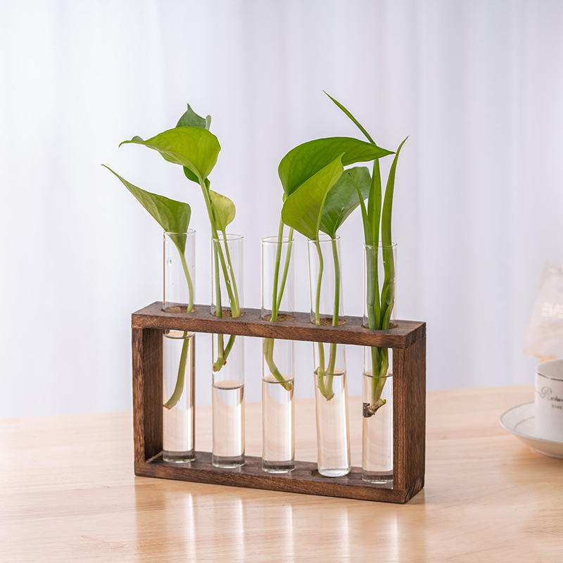 พืช Hydroponic คอนเทนเนอร์กรอบ - Hydroponic Grow Pod บทวิจารณ์และราคา